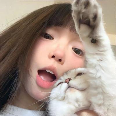 百慕迷踪