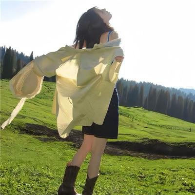 维希之眼